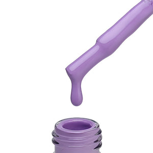 "QUANTUM" Collection No. 001 - 080