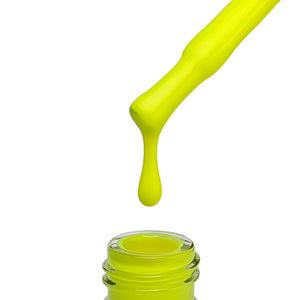 "QUANTUM" Collection No. 001 - 080