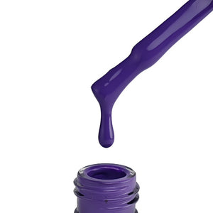 "QUANTUM" Collection No. 001 - 080