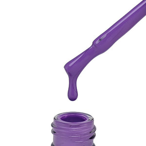 "QUANTUM" Collection No. 001 - 080