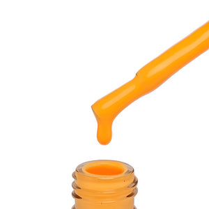 "QUANTUM" Collection No. 001 - 080