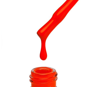 "QUANTUM" Collection No. 001 - 080