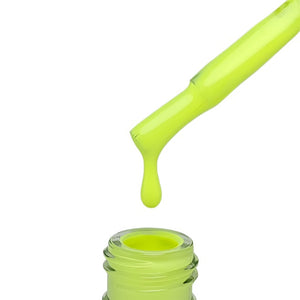 "QUANTUM" Collection No. 001 - 080