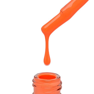 "QUANTUM" Collection No. 081 - 160