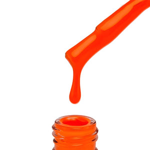 "QUANTUM" Collection No. 081 - 160