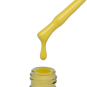 "QUANTUM" Collection No. 161 - 258