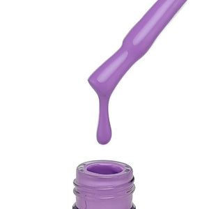 "QUANTUM" Collection No. 161 - 258