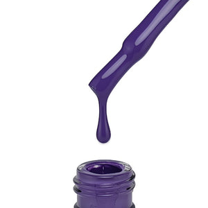 "QUANTUM" Collection No. 161 - 258